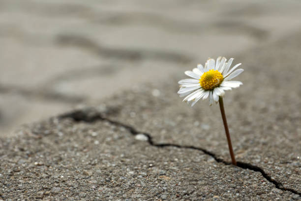 From One‑Off Change to Everyday Resilience